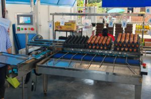 เครื่องคัดไข่ดิจิตอล 1 ราง 5,000 ฟอง/ชั่วโมง