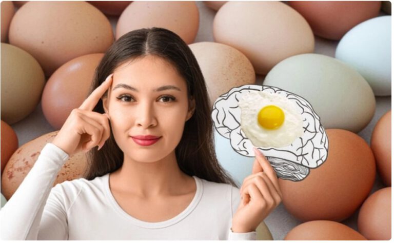 ไข่ไก่ อาหารมหัศจรรย์ งานวิจัยชี้ อาจช่วยลดความเสี่ยงอัลไซเมอร์ได้เกือบครึ่ง