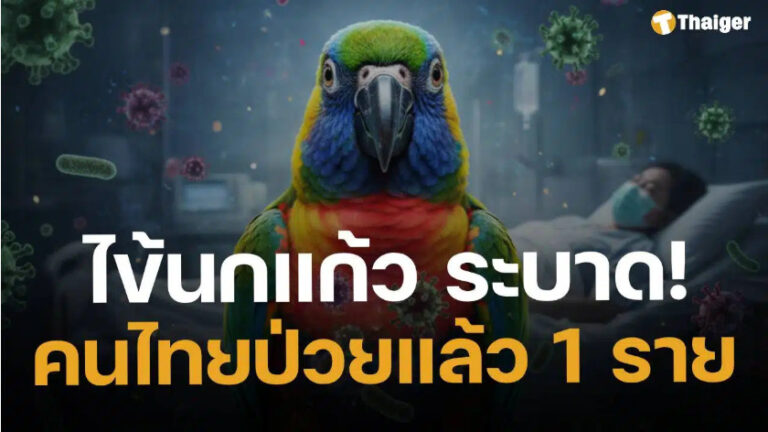 ด่วน! ไข้นกแก้ว ระบาดแล้วที่ประเทศไทย ล่าสุดพบ หญิงไทย อายุ 55 ป่วยรายแรกปลายปี 68 มีประวัติเลี้ยงนกในที่ปิด-อากาศไม่ถ่ายเท