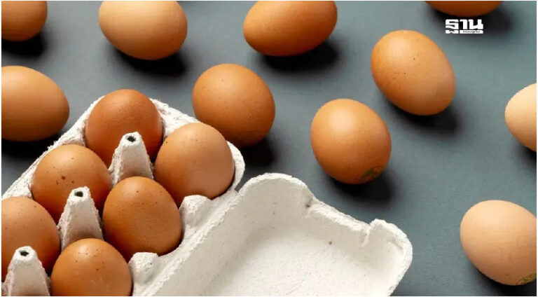 ไข่ไก่ราคาดิ่ง แค่ 3 วันลด 40 สตางค์ต่อฟอง ปรับลง 12 บาทต่อแผง