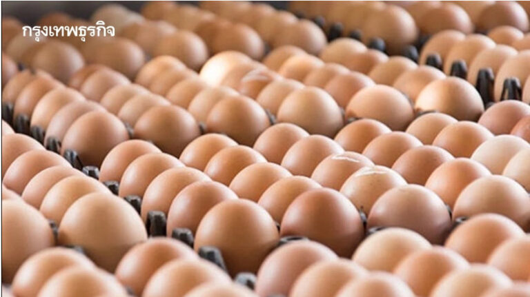 เกษตรกร ร้องรัฐตรวจสอบ ฟาร์มใหญ่จับมือยี่ปั๊วเทขายไข่ไก่ ทำรายย่อยเดือดร้อนหนัก