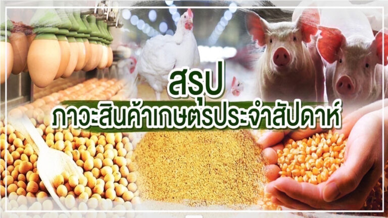 สรุปราคาสินค้าเกษตรสัปดาห์นี้ ข้าวโพด-ข้าว-ปลาป่นขยับขึ้น ไข่ไก่ลด สุกร-ไก่ทรงตัว