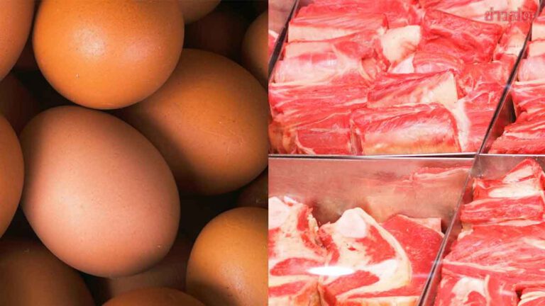 ฟาร์ม ‘หมู-ไก่ไข่’ วอนเห็นใจ ขึ้นราคาเพราะต้นทุนเพิ่ม-ชดเชยภาระขาดทุน ไม่ได้ฉวยโอกาส…