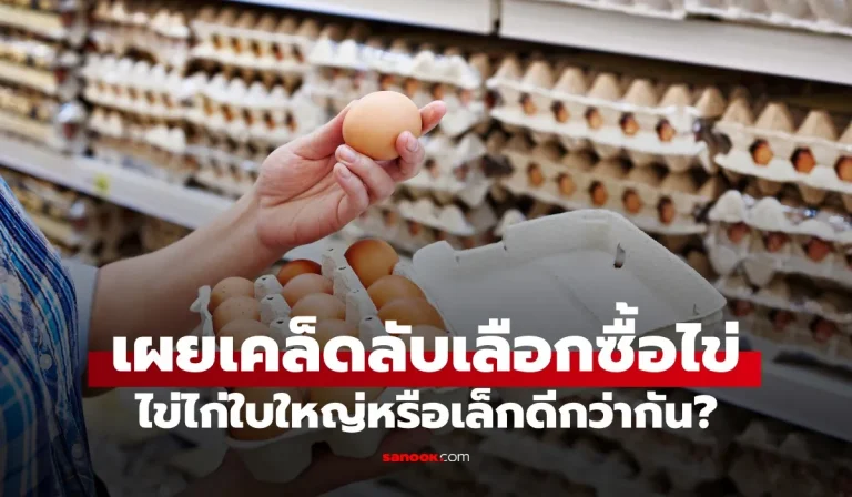 ซื้อไข่ไก่ใบใหญ่หรือเล็กดี? ร้านขายไข่เก่าแก่ 76 ปี เผยเคล็ดลับที่คนวงในเลือกซื้อ
