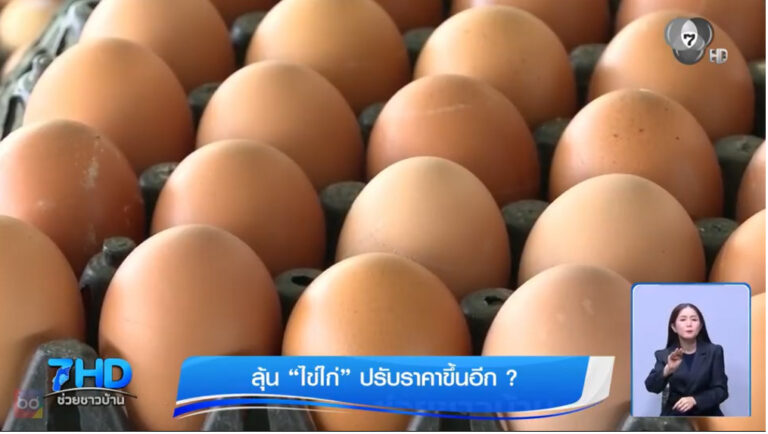 ลุ้น “ไข่ไก่” ปรับราคาขึ้นอีก ?