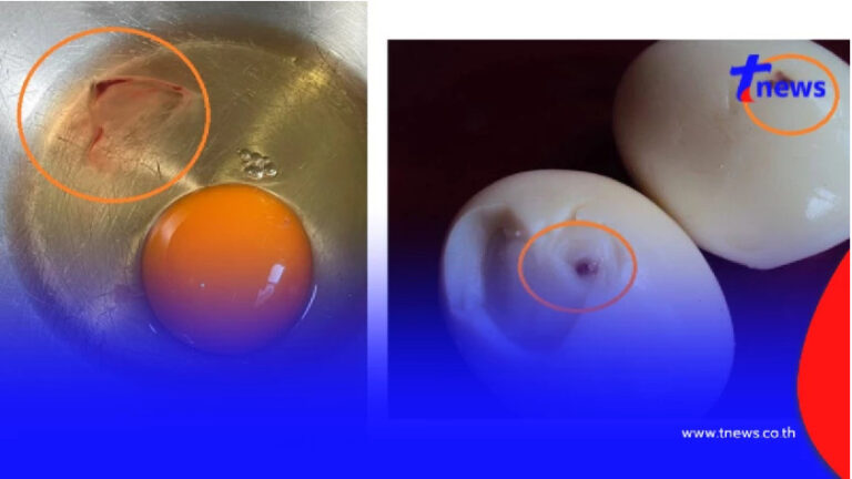 ถึงบางอ้อทันที “ตอกไข่” แล้วเจอจุดเลือด ยังกินได้หรือไม่