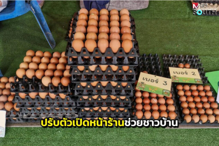 “อาหลีฟาร์ม” ปรับกลยุทธ์เปิดหน้าร้านขายไข่ไก่ หวังช่วยลดภาระค่าใช้จ่ายให้ชาวสตูล