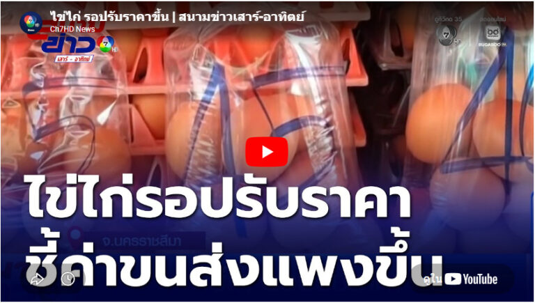 ไข่ไก่ รอปรับราคาขึ้น |(คลิปข่าว)
