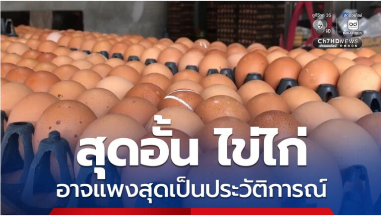 สุดอั้น ไข่ไก่เตรียมขยับราคาอาจแพงสุดเป็นประวัติการณ์ เพราะหน้าฟาร์มมีการขยับราคาขึ้นมาหลายรอบ