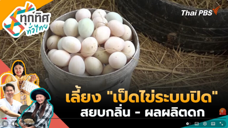 เลี้ยง “เป็ดไข่ระบบปิด” สยบกลิ่น – ผลผลิตดก | ทุกทิศทั่วไทย | 26 ส.ค. 69